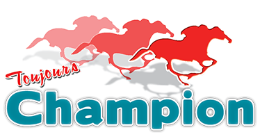 Pizza Champion